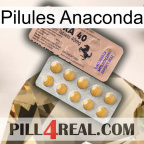 Anaconda Pills 41